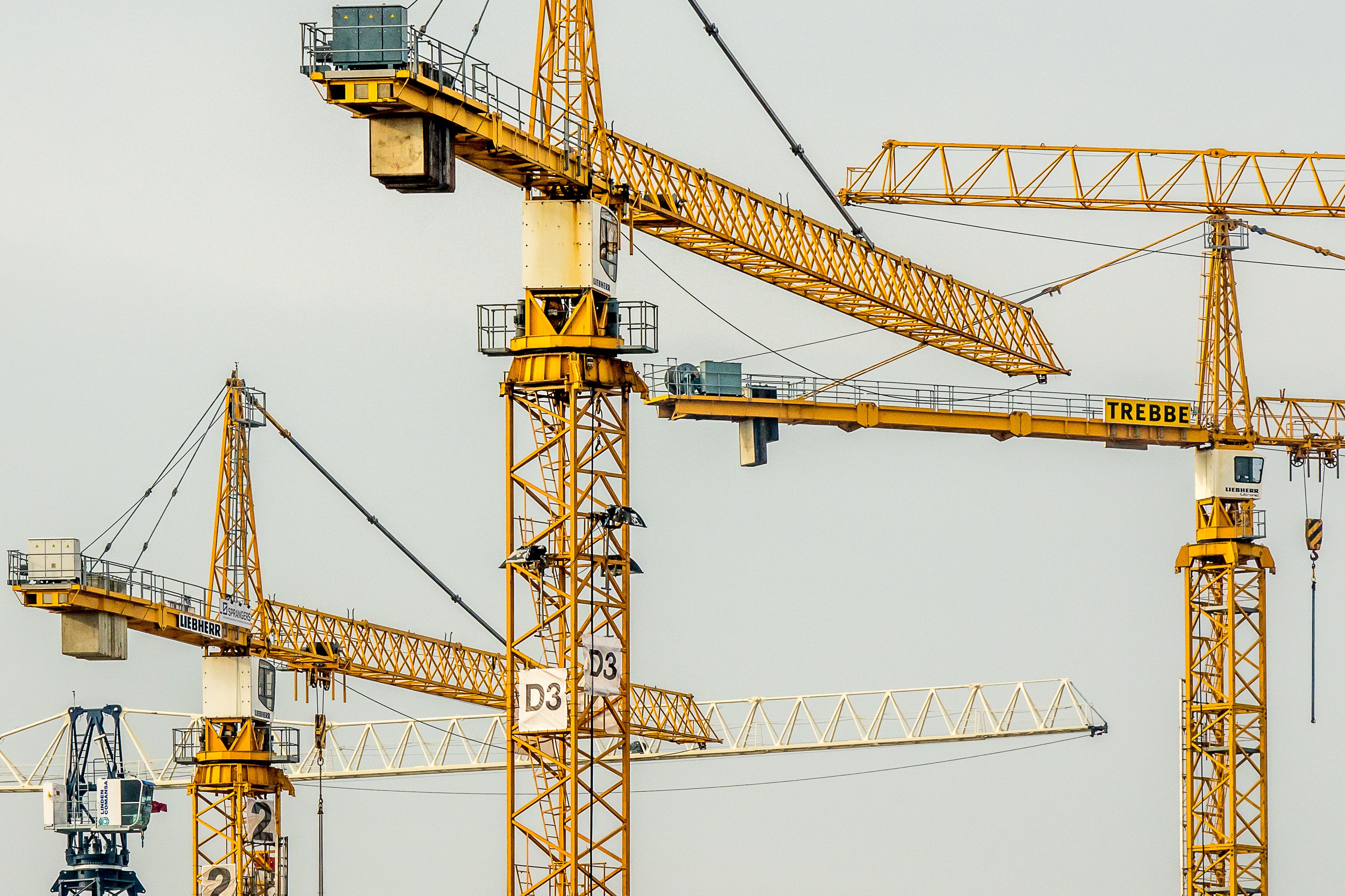 Project management and development advisory